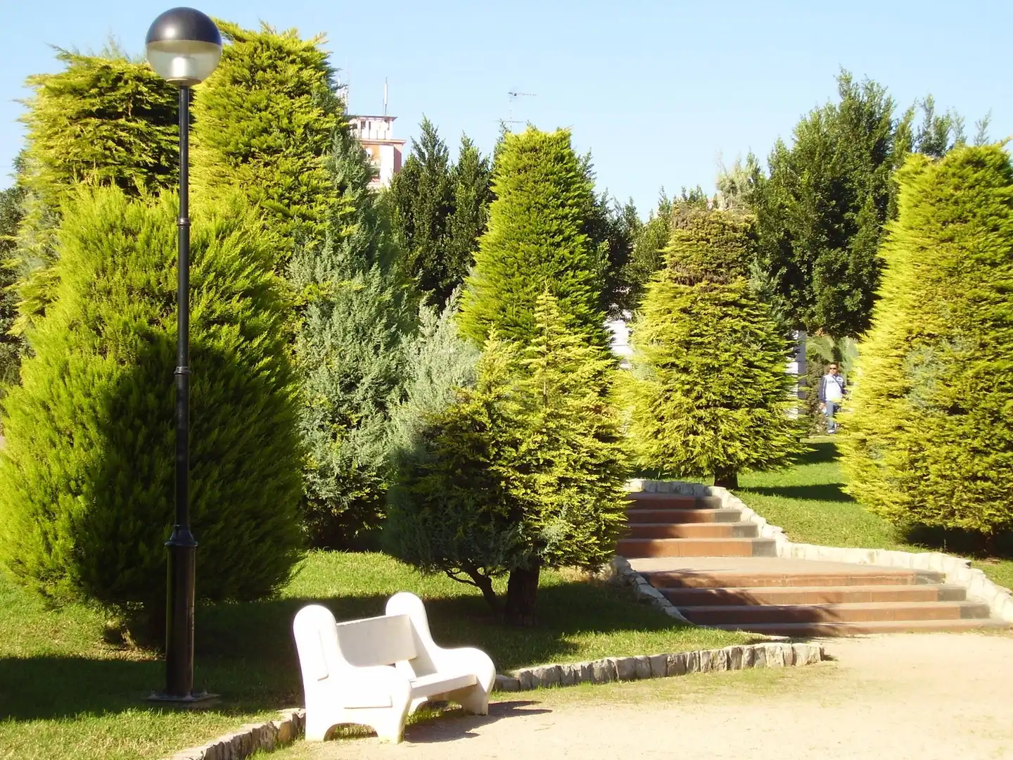 Jardí de Local de lloguer en Alzira