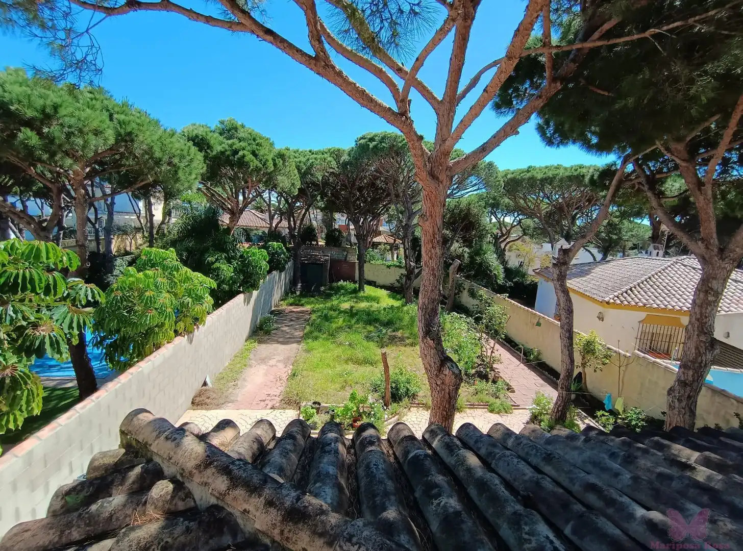 Jardí de Casa o xalet en venda en Chiclana de la Frontera amb Aire condicionat