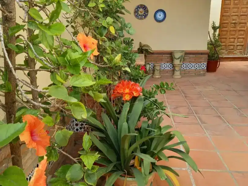 Jardí de Casa o xalet en venda en Málaga Capital amb Aire condicionat