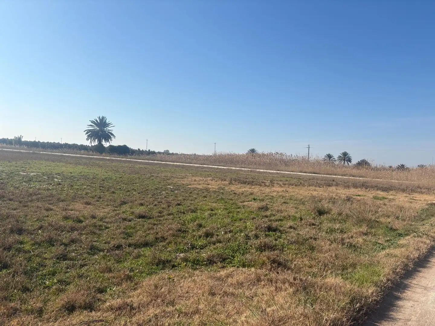 Terrain rustique à vendre à La Foia - Daimés - Asprella, imagen 4