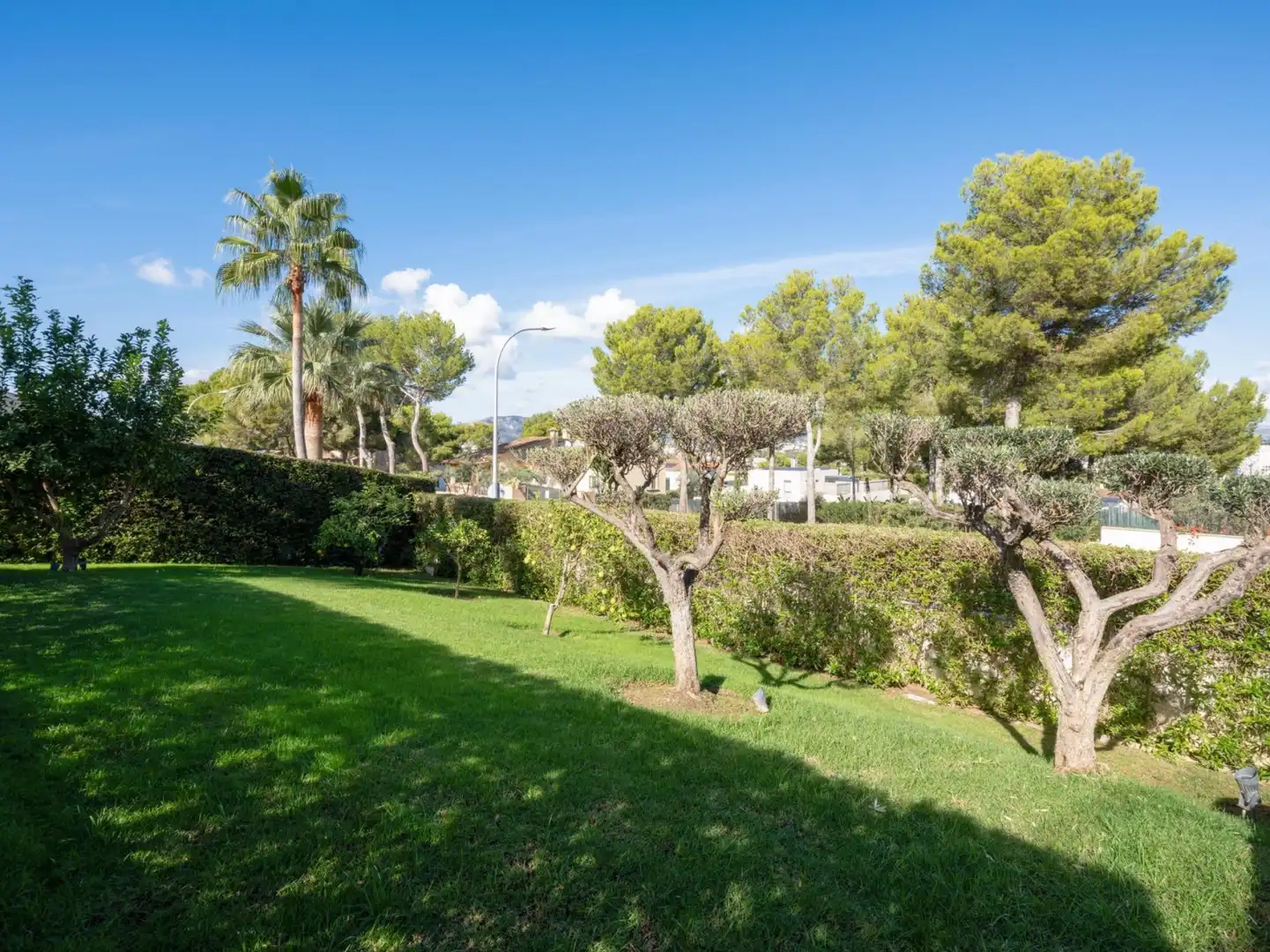 Casa con terrazza in vendita a Calvià - Carrer gran via illa tagomago, imagen 34