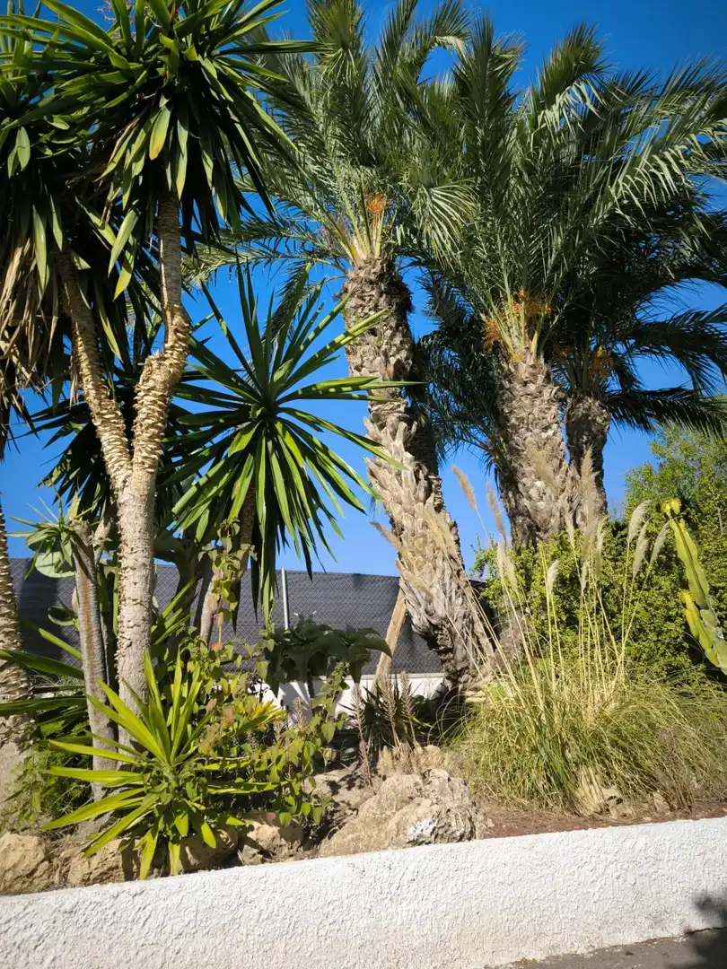 Villa avec piscine à vendre à Peña de las Águilas, imagen 26