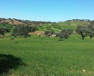Finca rústica en venda a Puebla de Guzmán