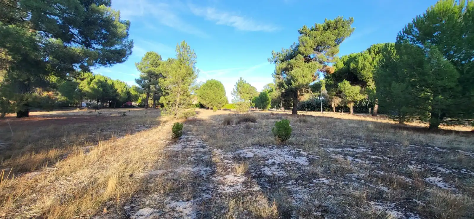 Terreno residenziale in vendita a Calle Santinos 8, imagen 6