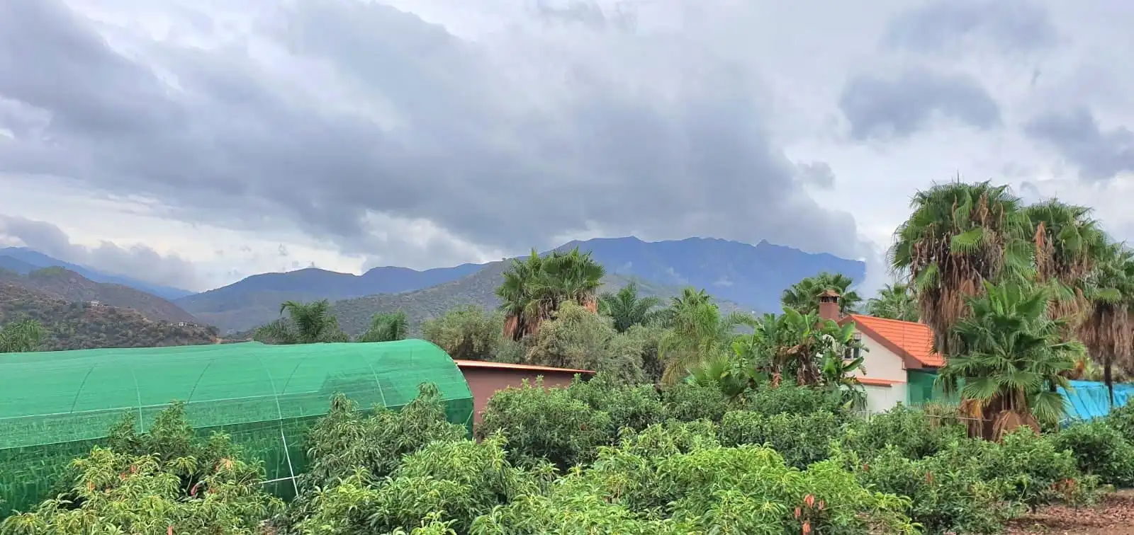Jardí de Casa o xalet en venda en Guaro amb Aire condicionat, Jardí privat i Moblat