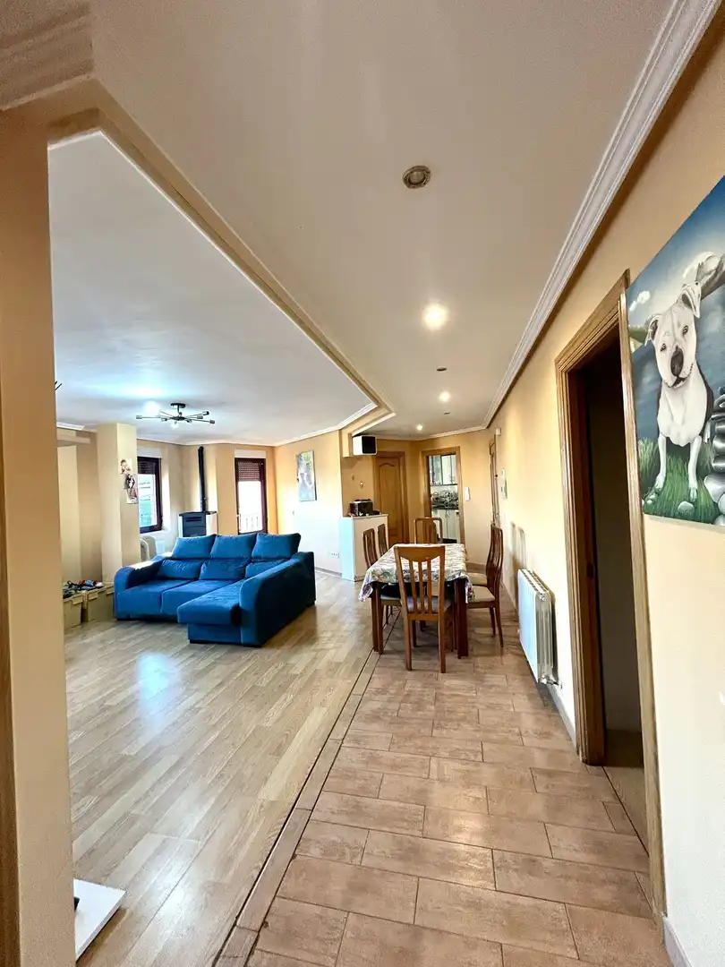 Living room of Flat for sale in Villamañán, León