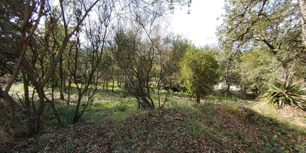 Grundstücke und Bauplätze zum Verkauf in Bescanó, imagen 3