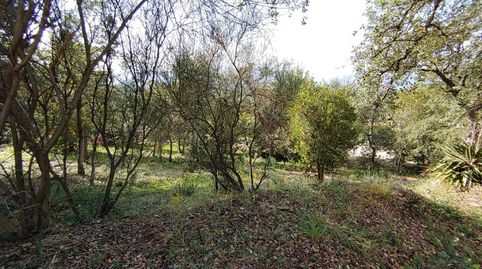 Solar en venta en Bescano., immagine 3