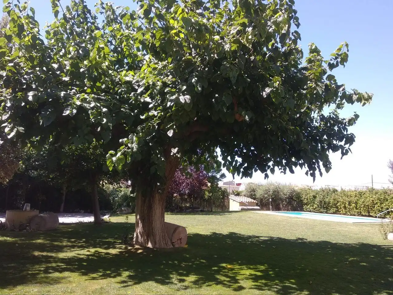 Jardí de Casa o xalet en venda en Vilanova de Bellpuig amb Calefacció, Jardí privat i Piscina