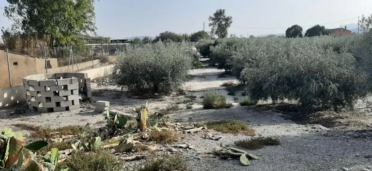 Casa o chalet en venta en Lorca