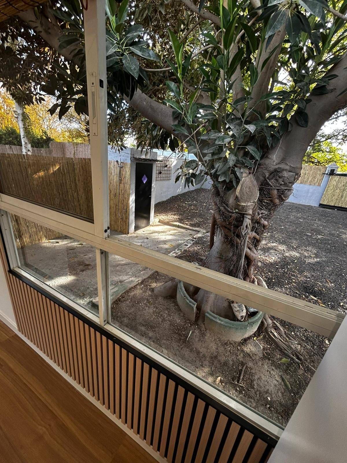 Country house to rent in Alguazas