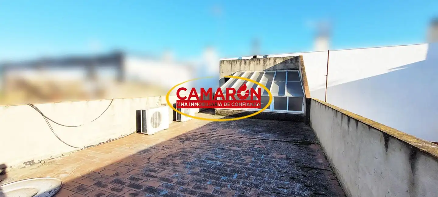 Jardí de Casa adosada en venda en Coria del Río