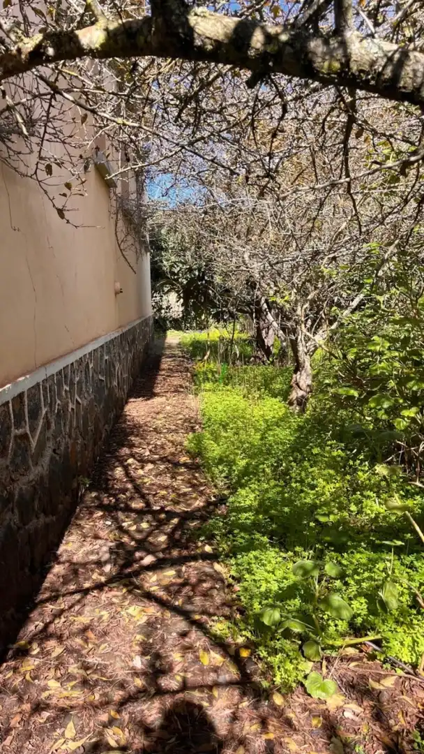 Garden of Houses for sale in San Cristóbal de la Laguna  with Storage room