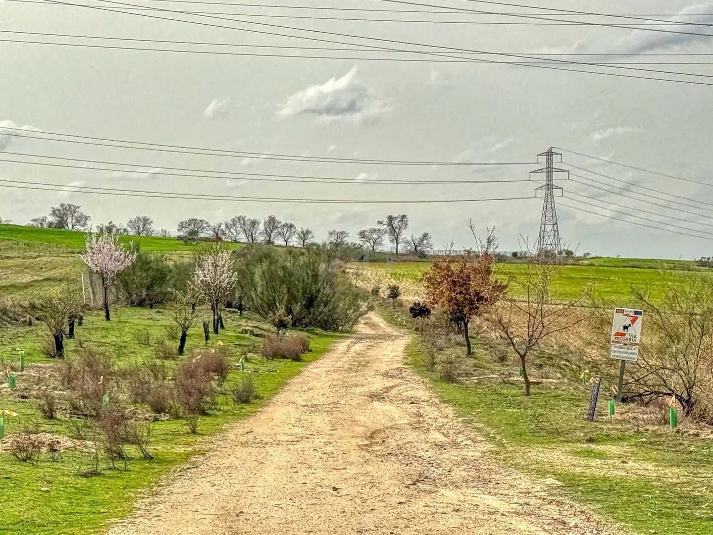 Residential for sale in Villaviciosa de Odón