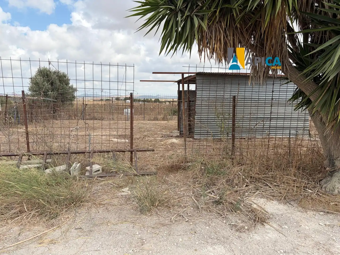 Rural land for sale in Los Franceses – La Vega, imagen 3