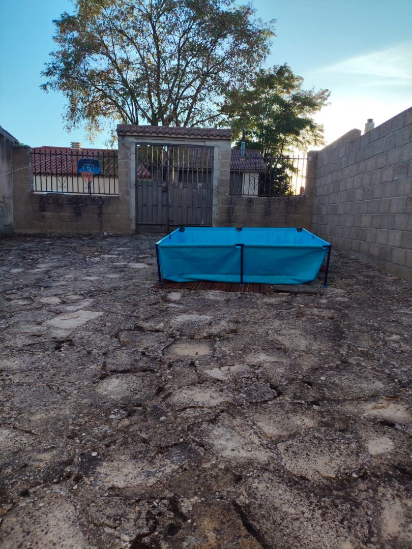 Jardí de Casa o xalet en venda en Torremocha del Campo amb Calefacció, Jardí privat i Moblat