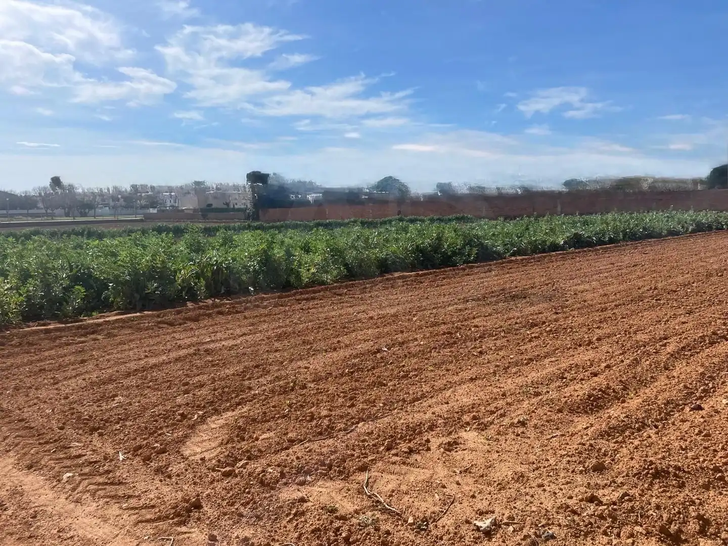 Residential land for sale in Marítima Sud, imagen 19