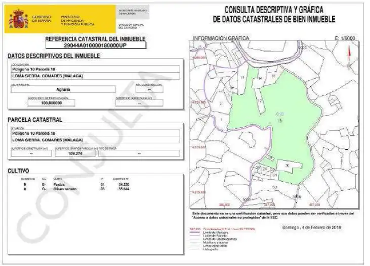 Finca rústica en venta en Periana