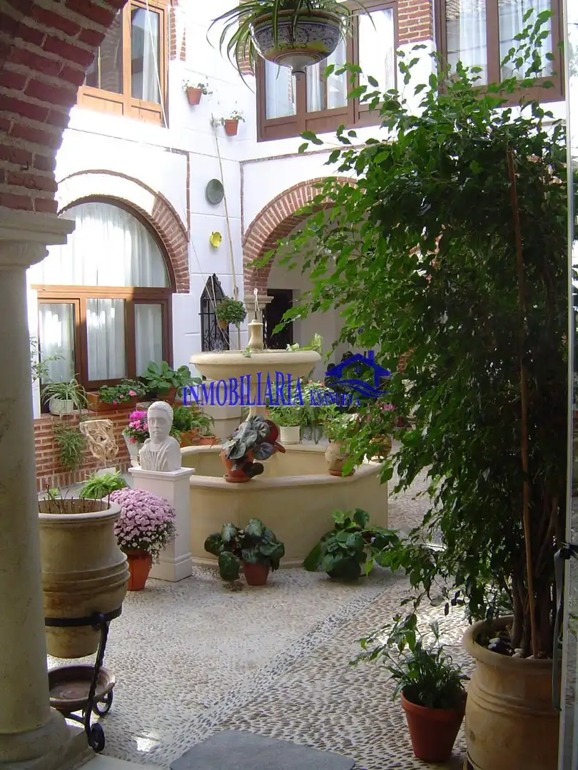 Jardín de Casa o chalet en venta en Castro del Río