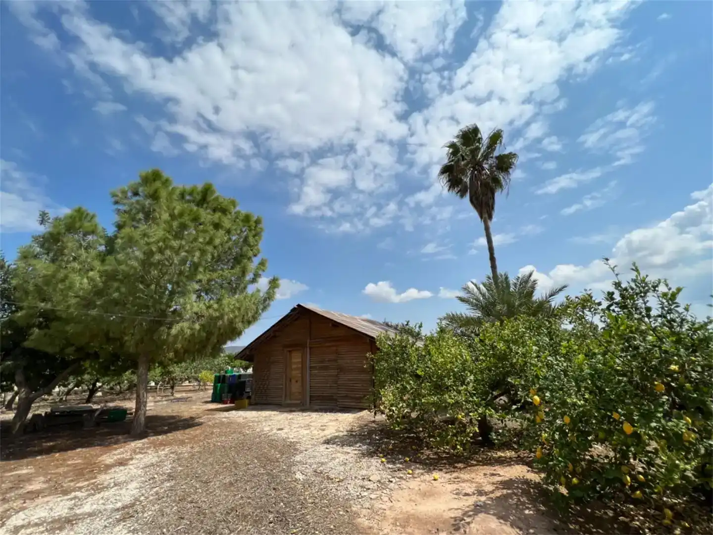 Vista exterior de Terreno en venta en Alhama de Murcia ciudad