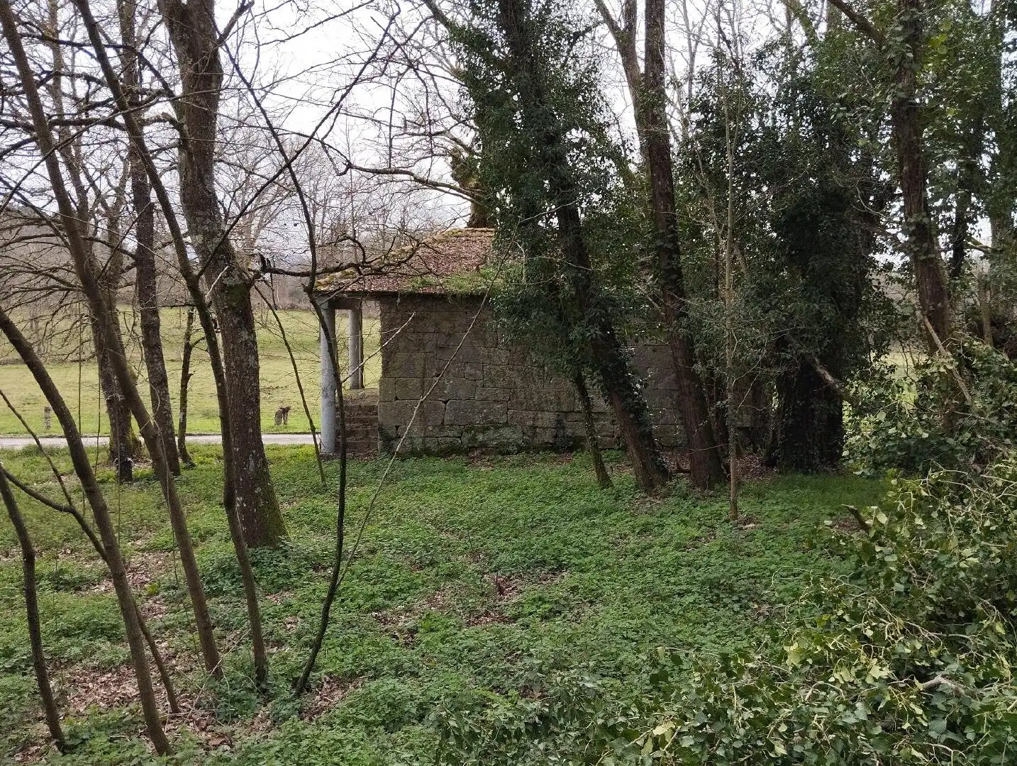 Haus zum Verkauf in Nogueira de Ramuín, imagen 10