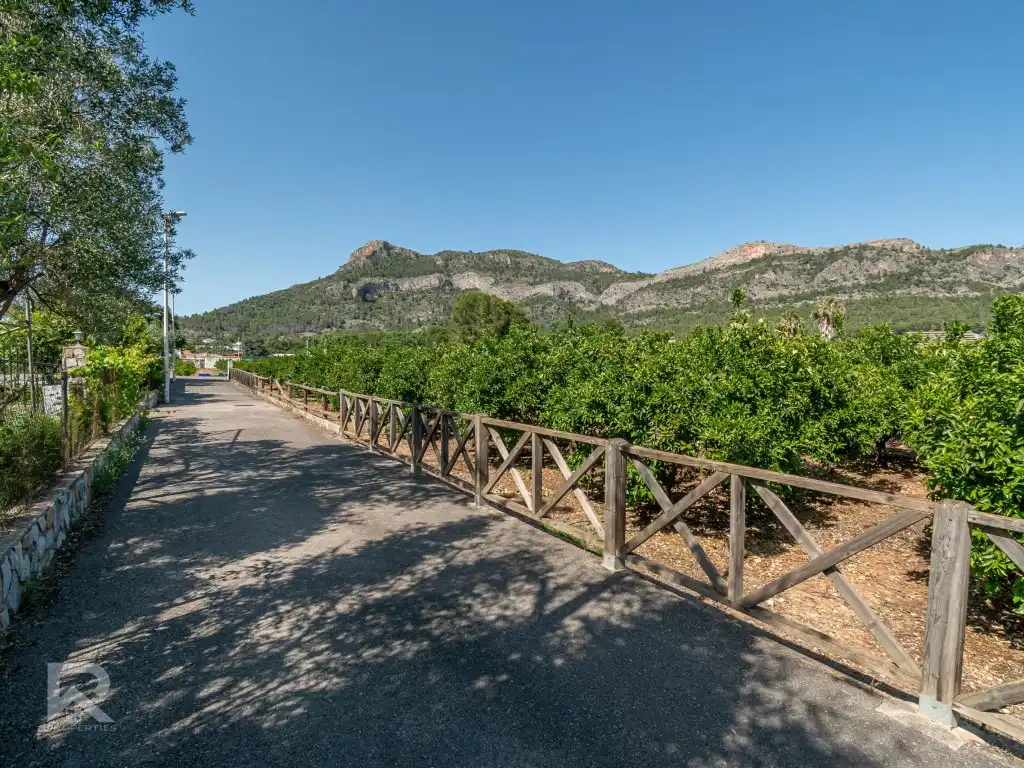 Vista exterior de Casa o xalet en venda en Gandia