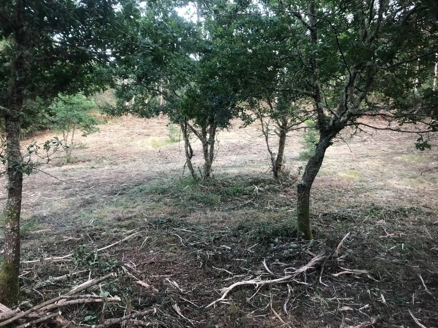Residencial en venda en Cotobade