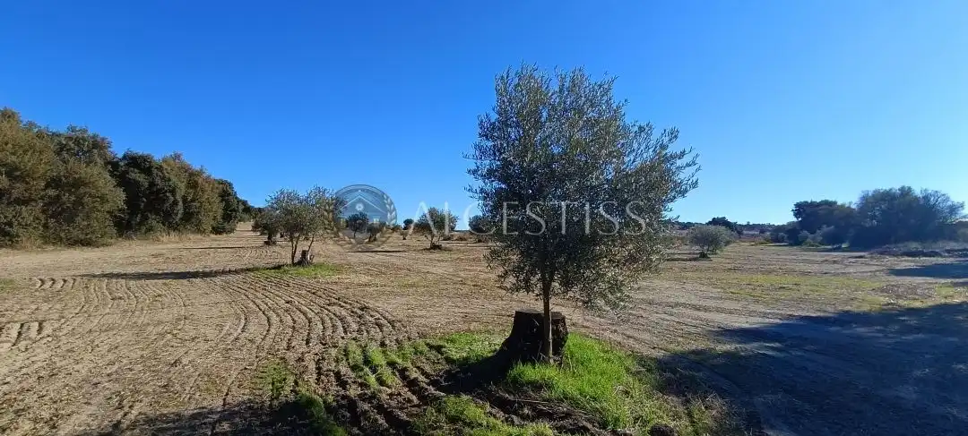 Terreno rústico en venta en Villamanta, imagen 14