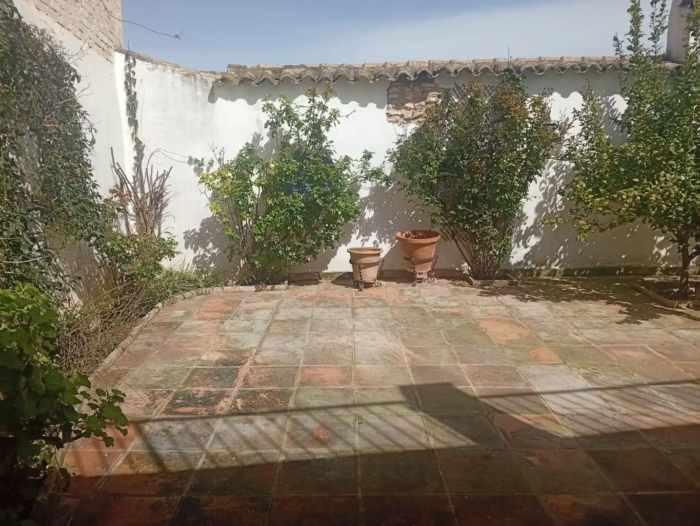 Terraza de Finca rústica en venta en Mollina con Aire acondicionado, Calefacción y Jardín privado