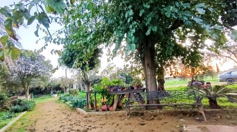 Foto 5 de Casa o chalet en venta en Umbrete, Umbrete, Sevilla