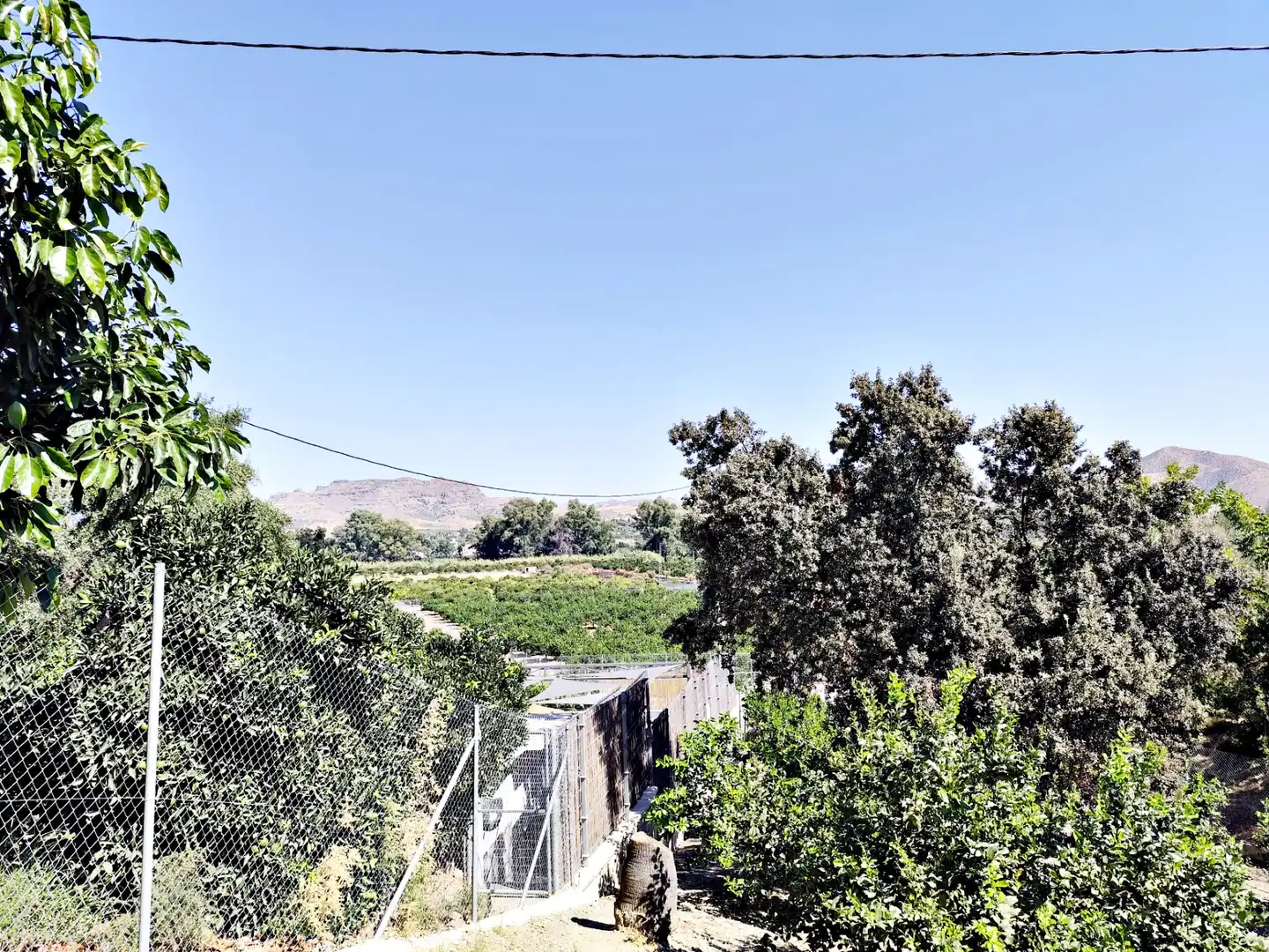 Maison rustique avec jardin à vendre à Casalpalma - Fahala, imagen 25