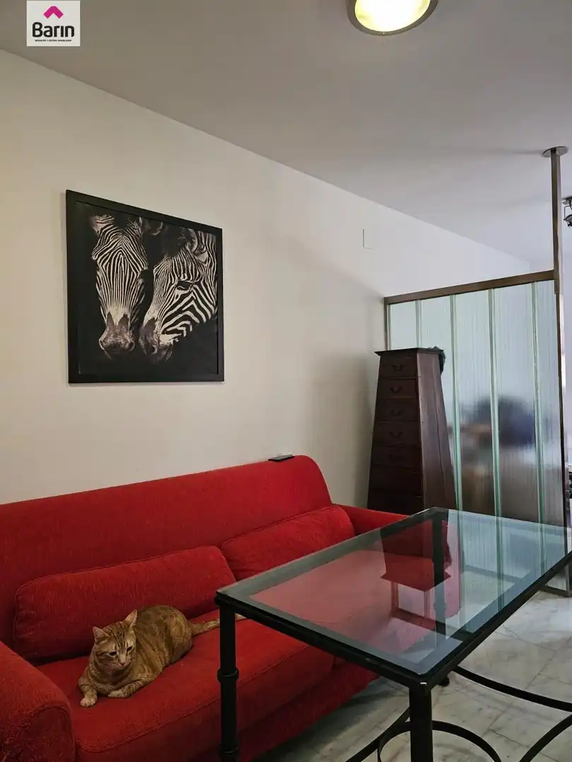 Sala d'estar de Pis en venda en Córdoba amb Jardí privat i Piscina comunitària
