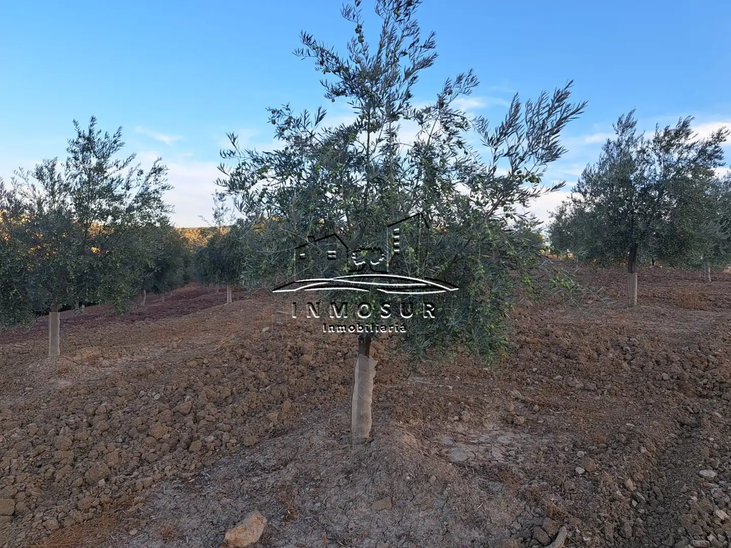 Terrain rustique à vendre à Las Vegas - Campoaras, imagen 4