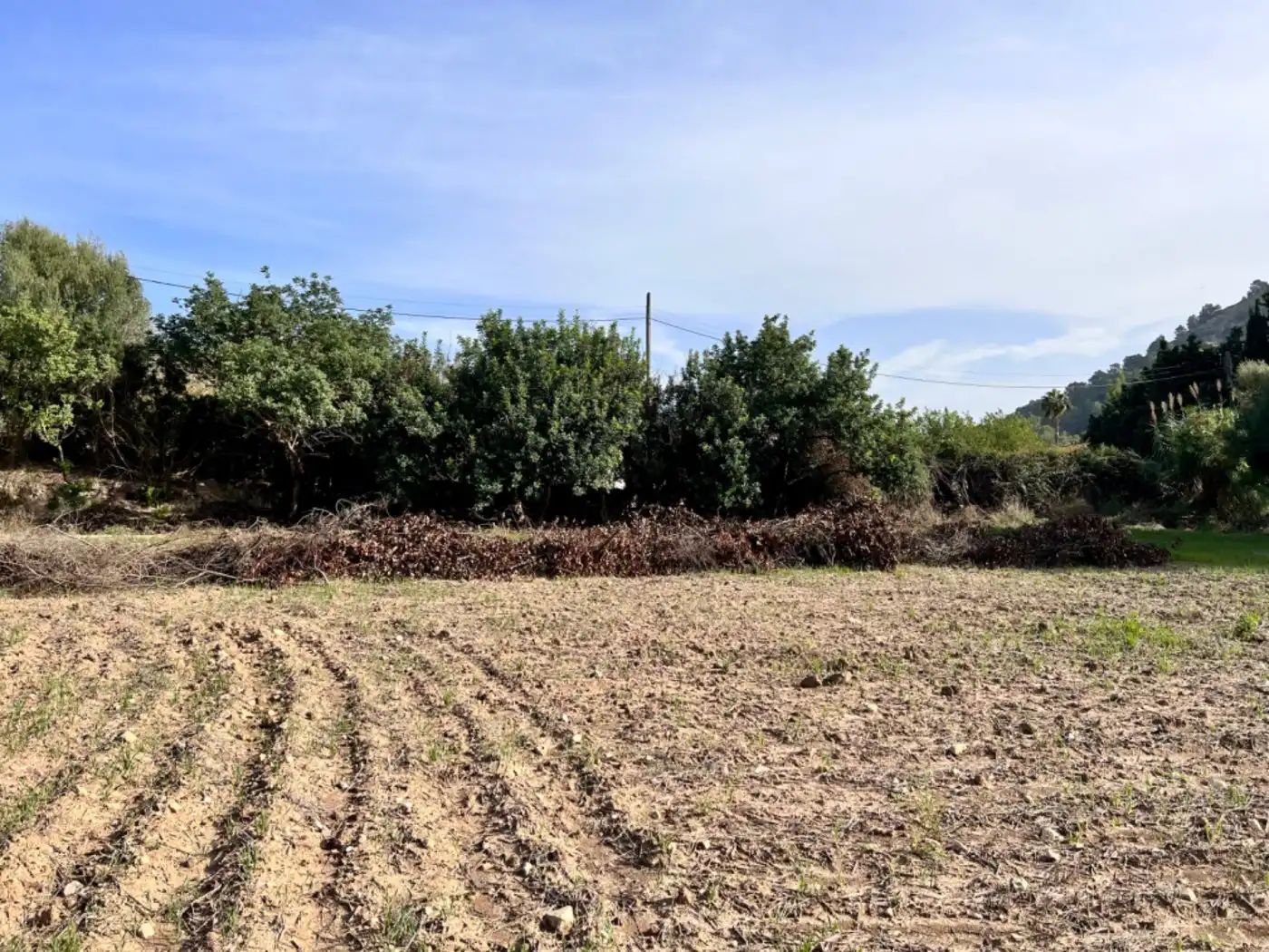 Casa rústica en venda a Ciutat d'Alcúdia, imagen 11