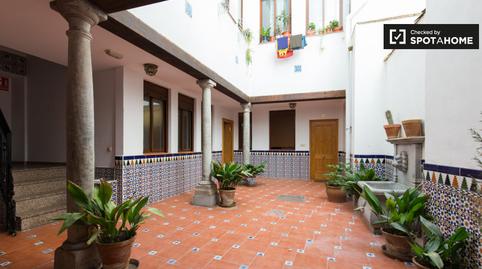 Photo 2 of Apartment to share in Centro - Sagrario, Granada