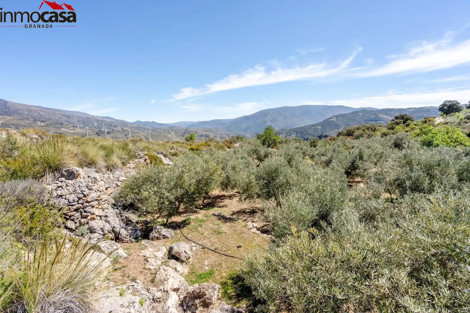 Land for sale in Lúcar