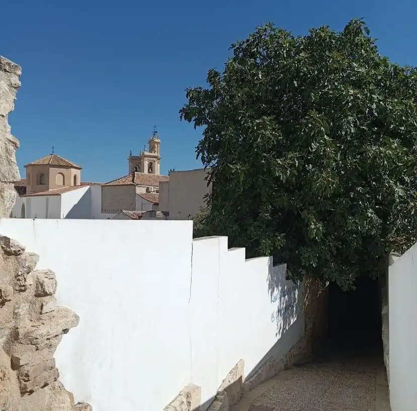 Exterior view of Houses for share in Jaén  with Air Conditioner, Private garden and Terrace