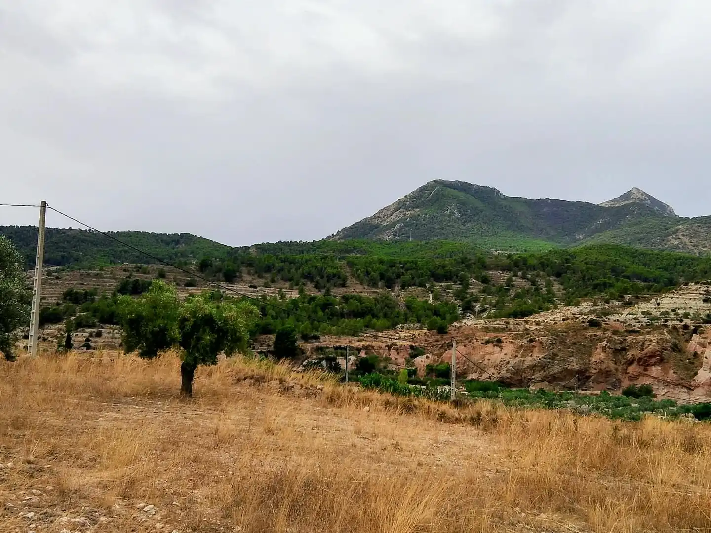 Terreno rustico in vendita a Lugar Castillo, imagen 5