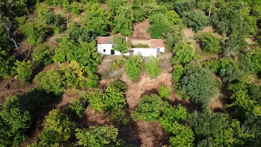 Terreni e lotti in vendita a Castaño del Robledo, imagen 27