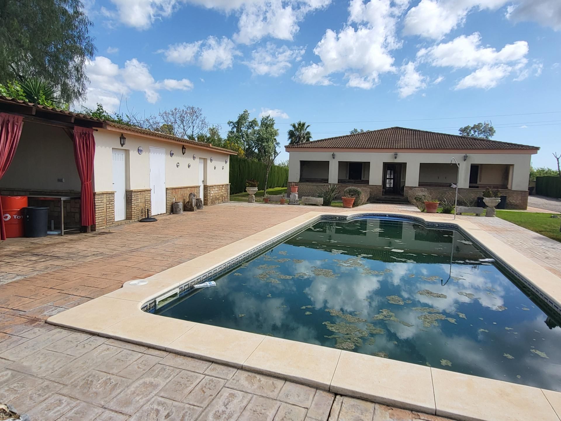 Piscina de Casa o xalet en venda en Pilas amb Aire condicionat, Jardí privat i Piscina