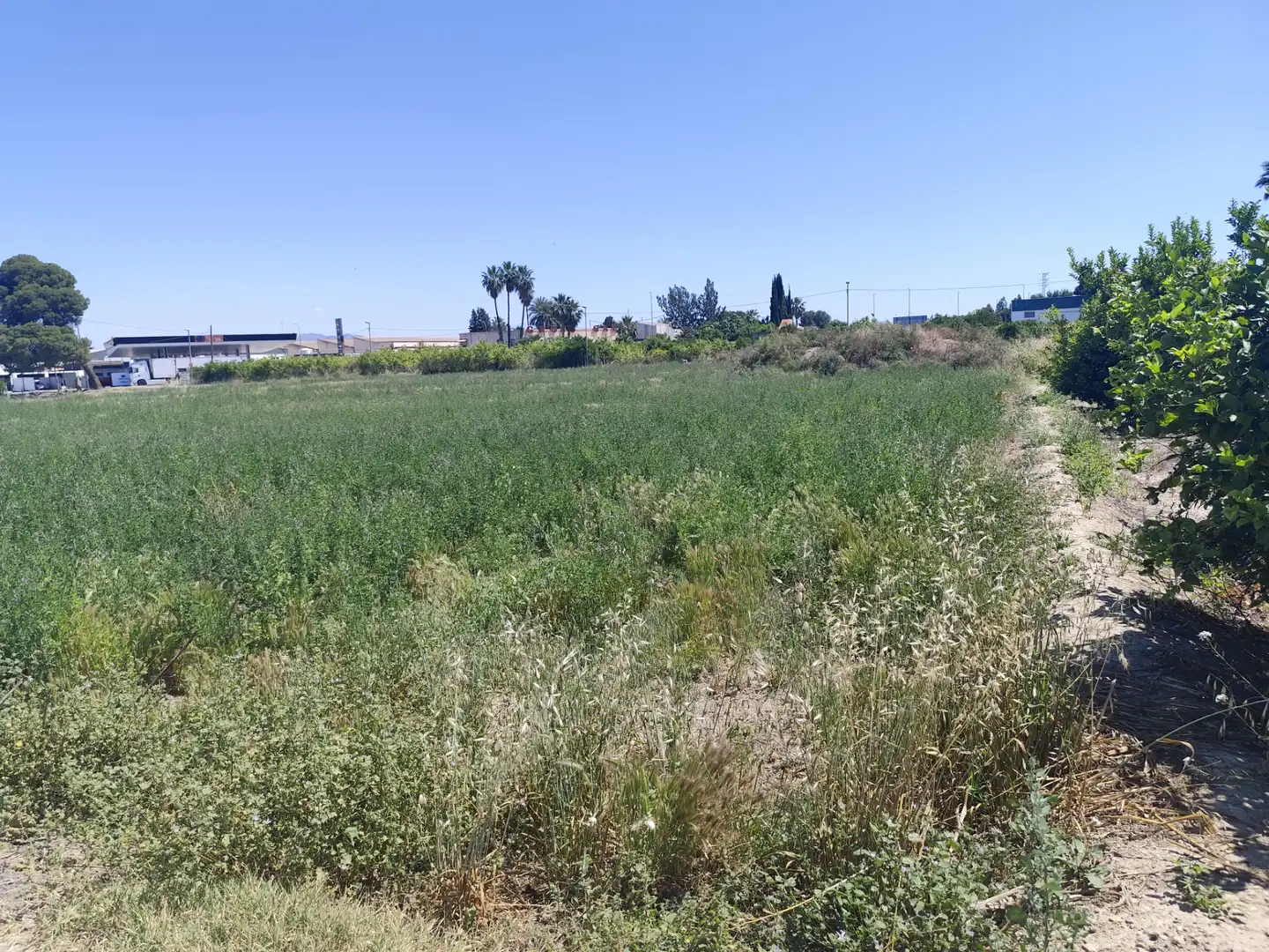 Residencial en venda en Murcia