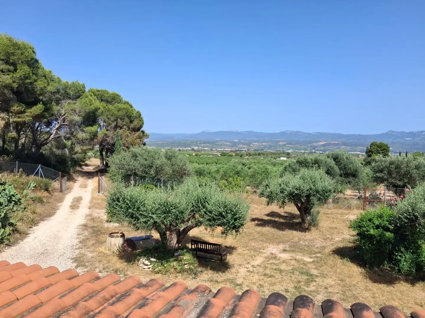Finca rústica en venda en Móra d'Ebre
