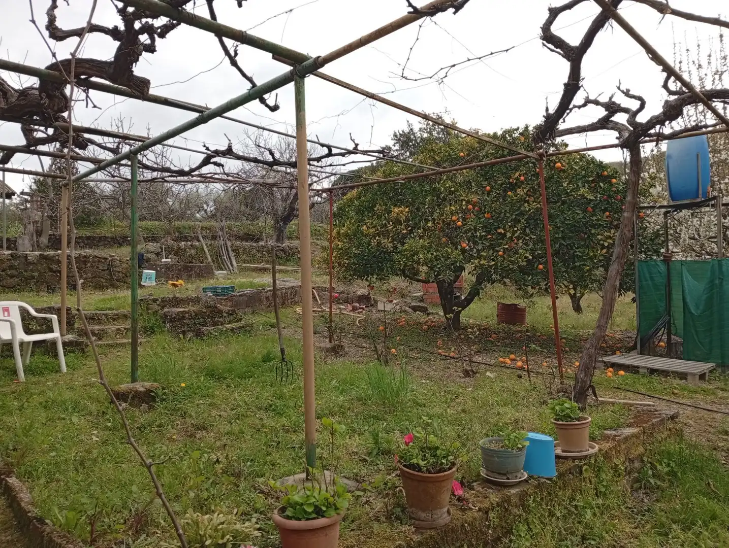 Terreni e lotti in vendita a Villanueva de la Vera, imagen 15