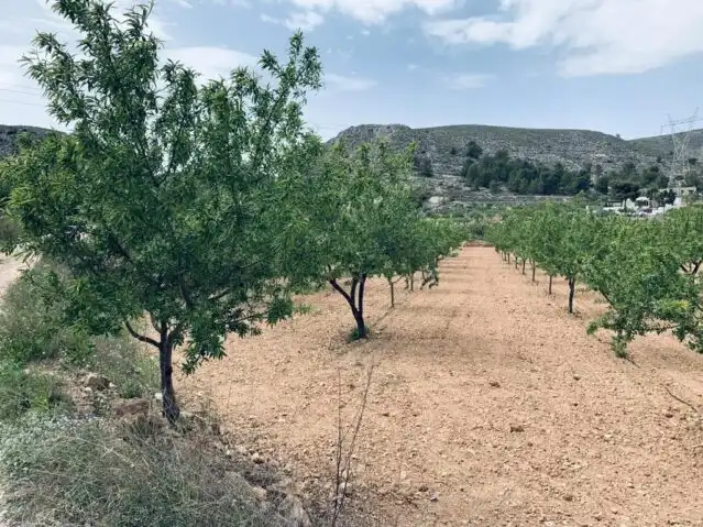 Terreny residencial en venda a La Romana