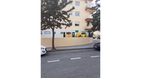 Los pacos / de los pacos, imatge 3