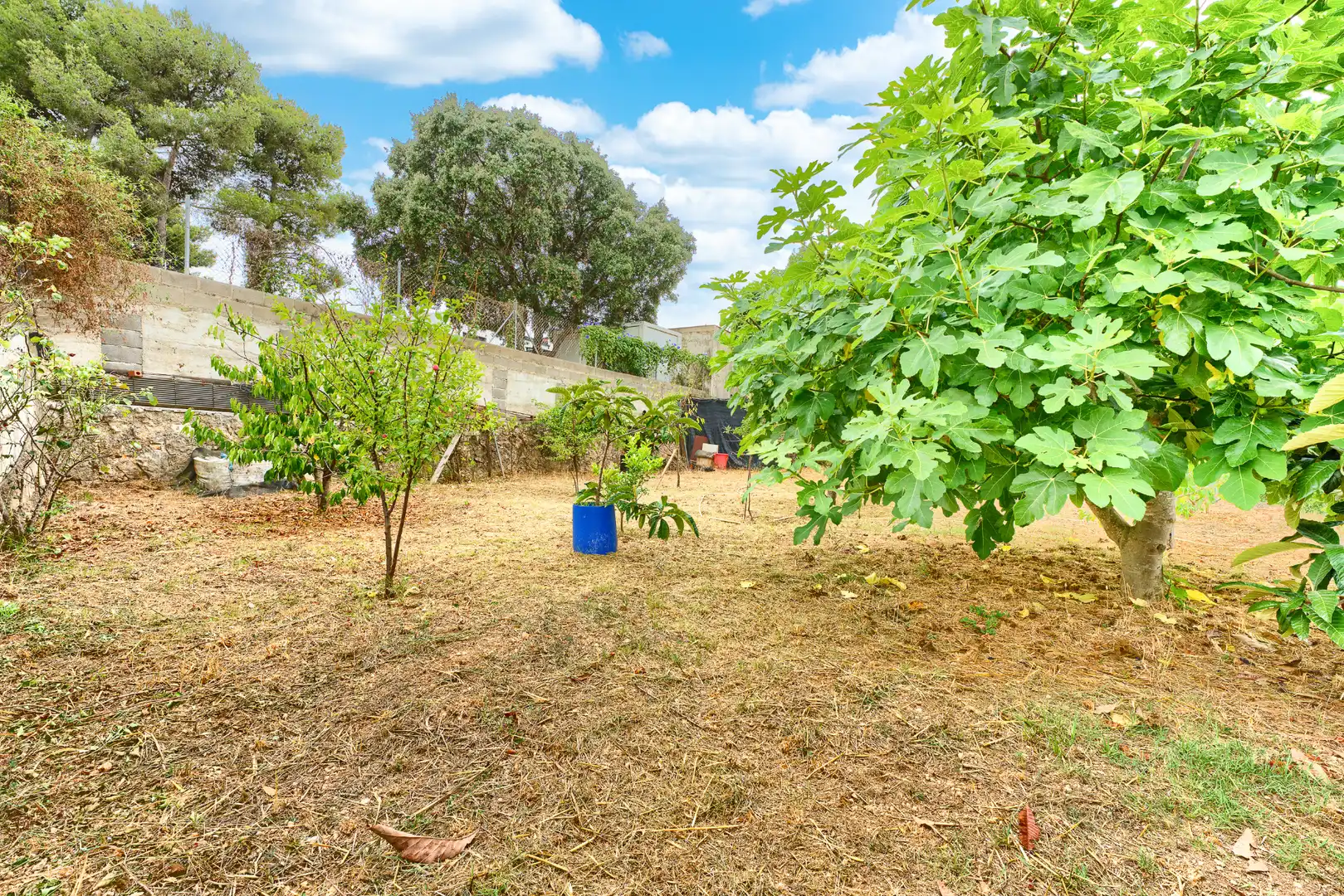 Jardí de Casa o xalet en venda en Castellet i la Gornal amb Jardí privat, Terrassa i Moblat