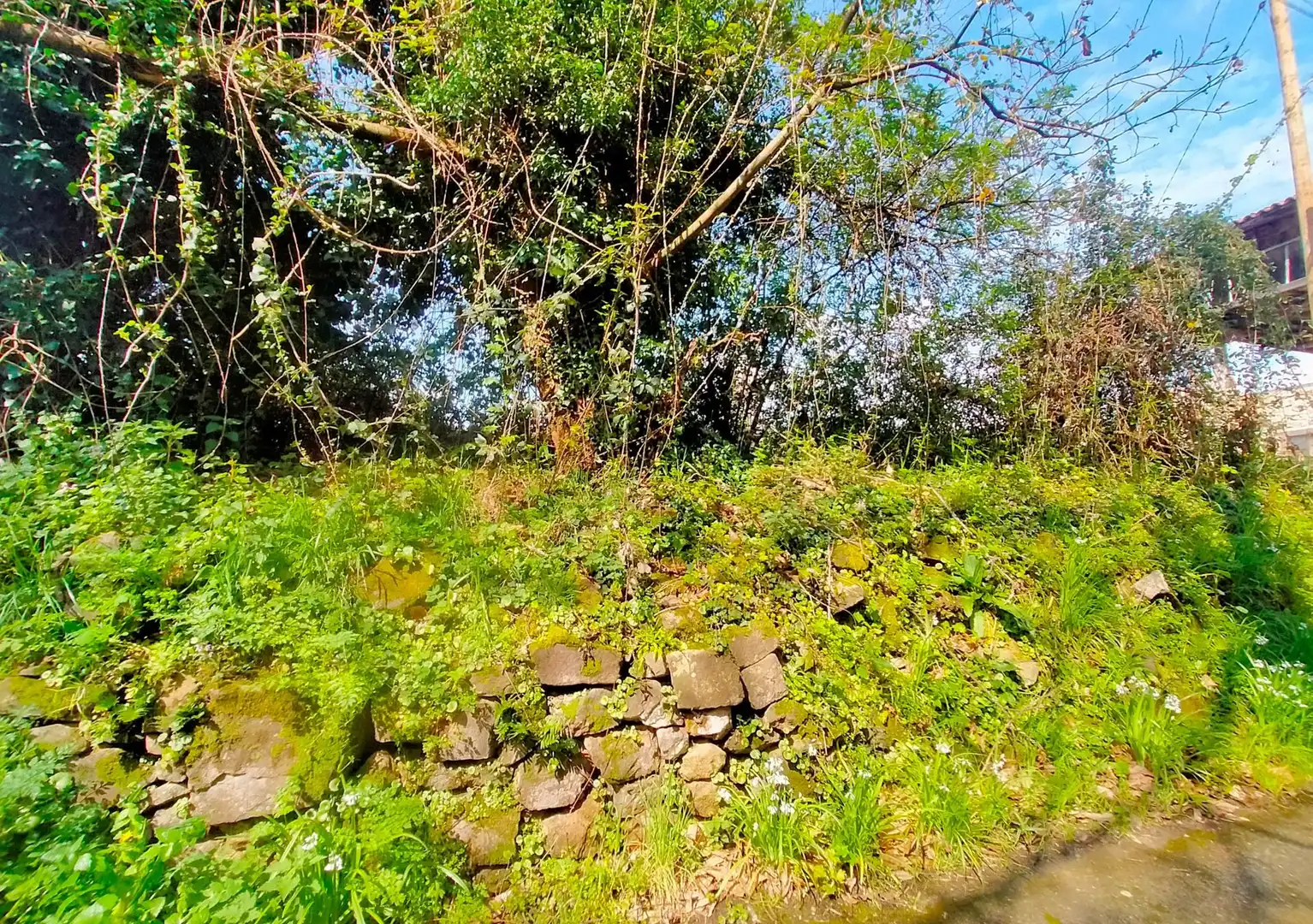 Terreno en venta en Pravia