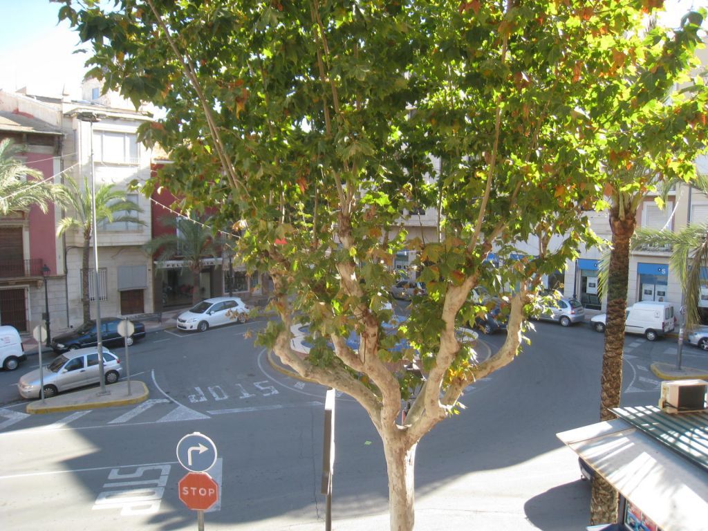 Exterior view of Planta baja for sale in Aspe