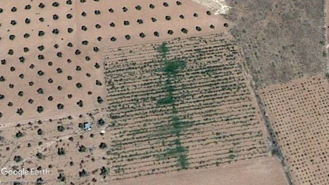 Terreno en Venta en Membrilla