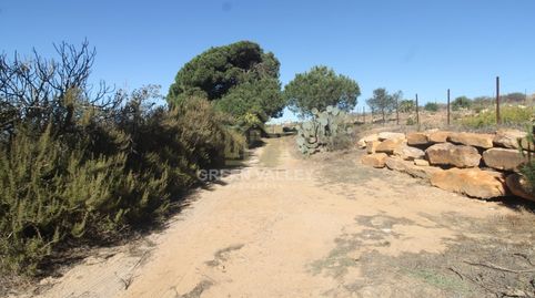 Foto 2 de Finca rústica en venda a Poligono 2 Paraje 2 Aguzaderas, La Alcaidesa, Cádiz
